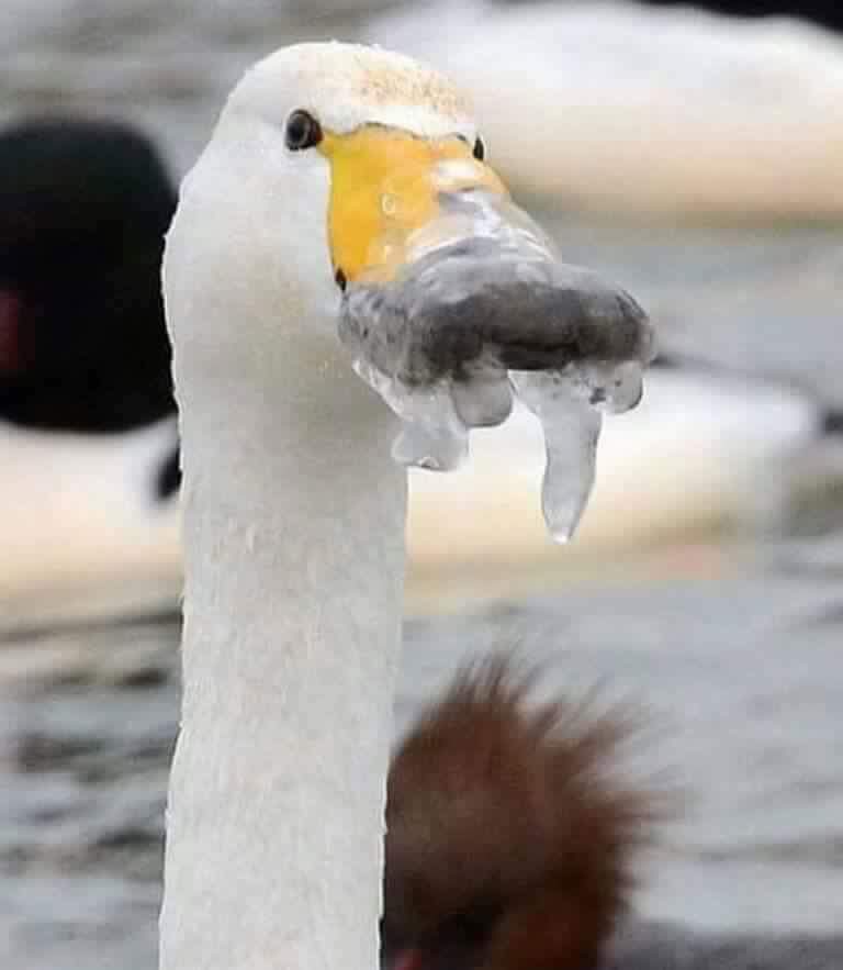 마케팅장인