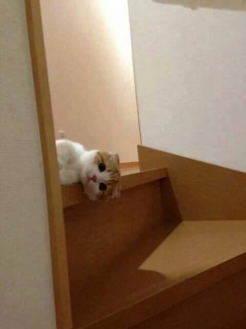 냠냠