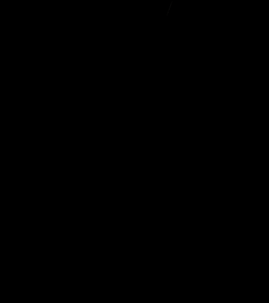 박주영