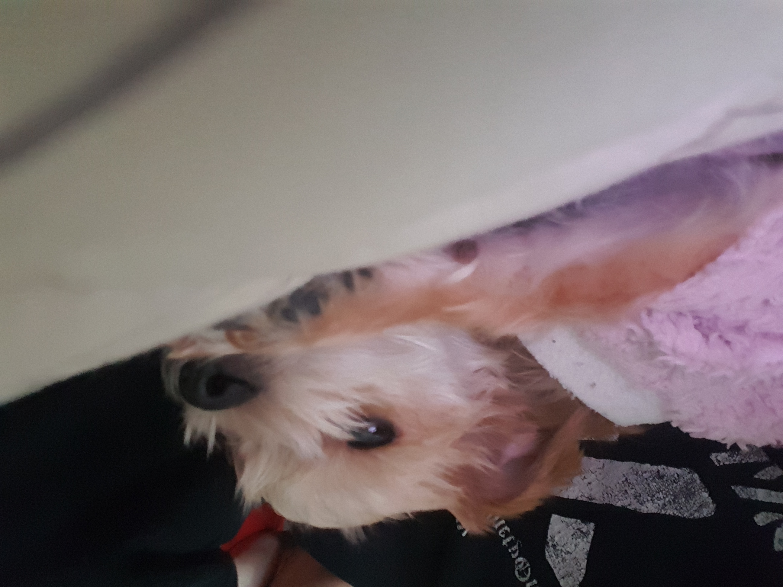 이정빈