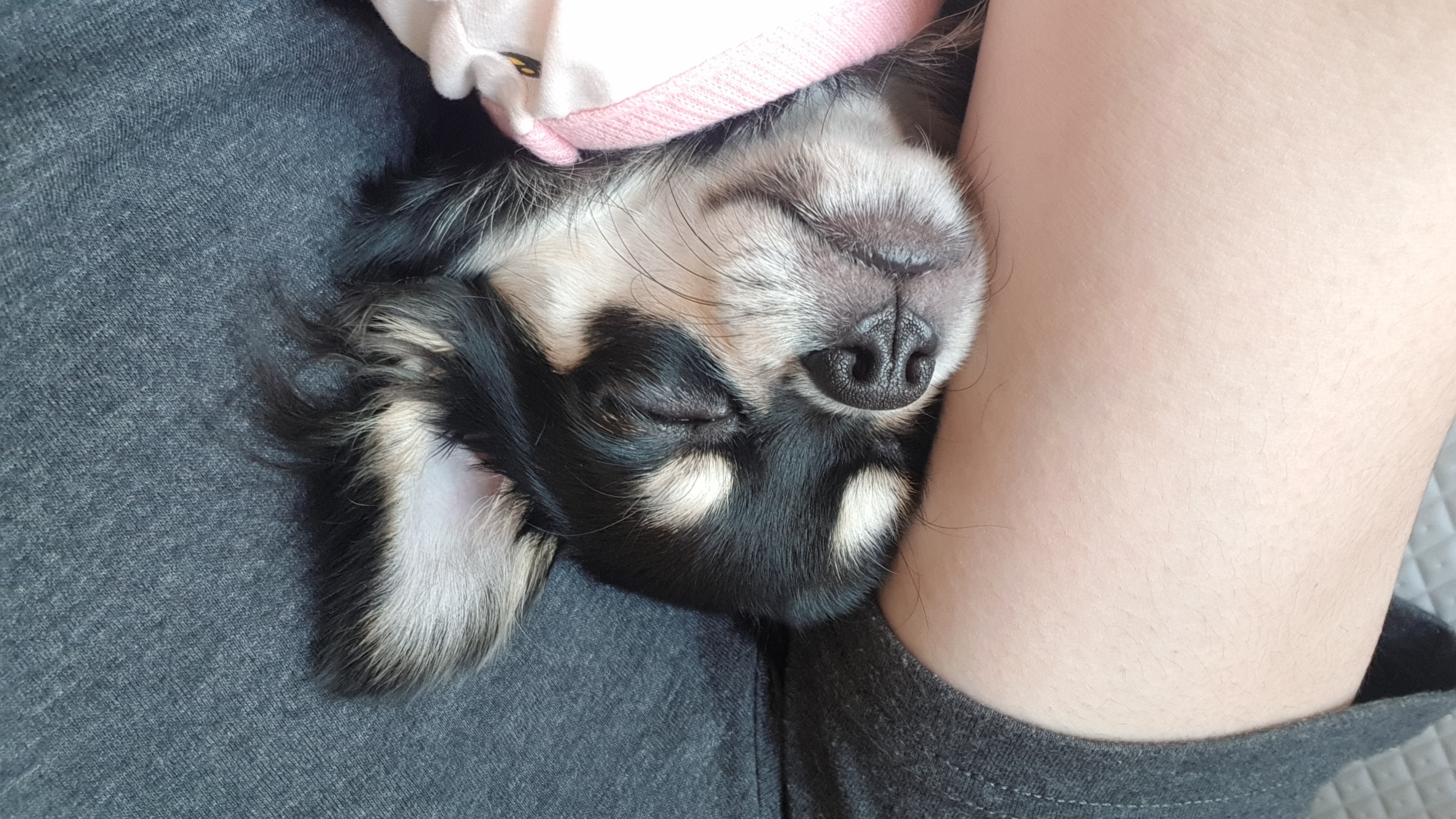 꾸망언니