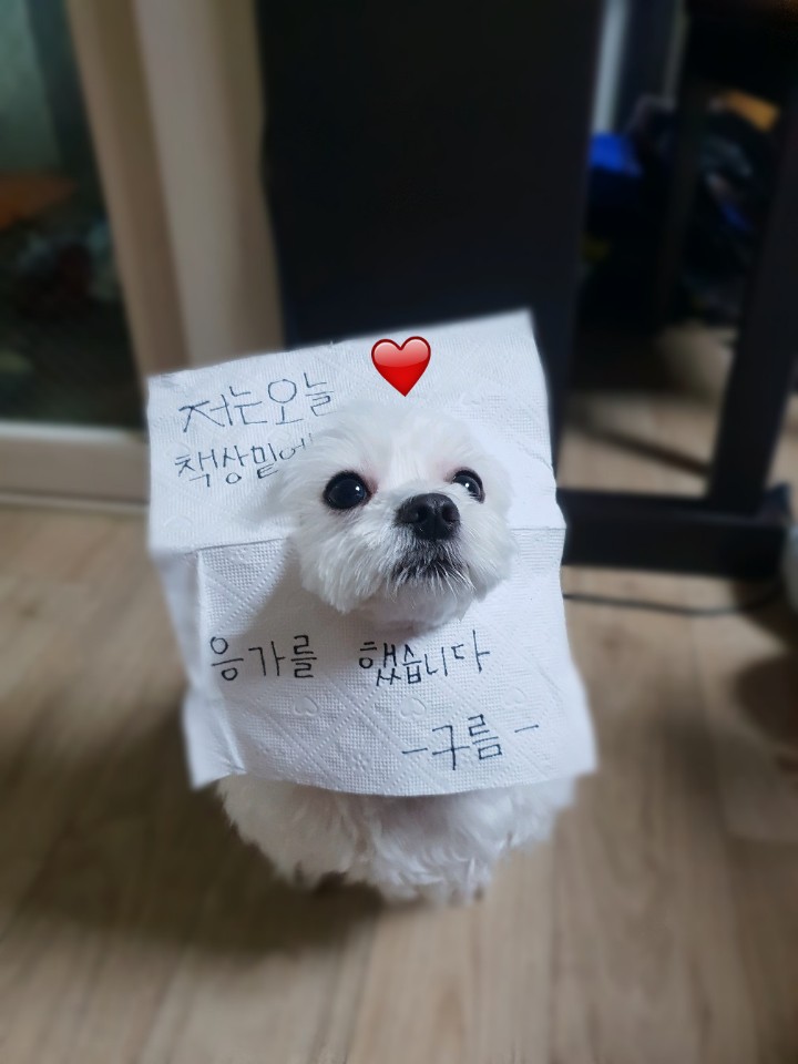 새우짱