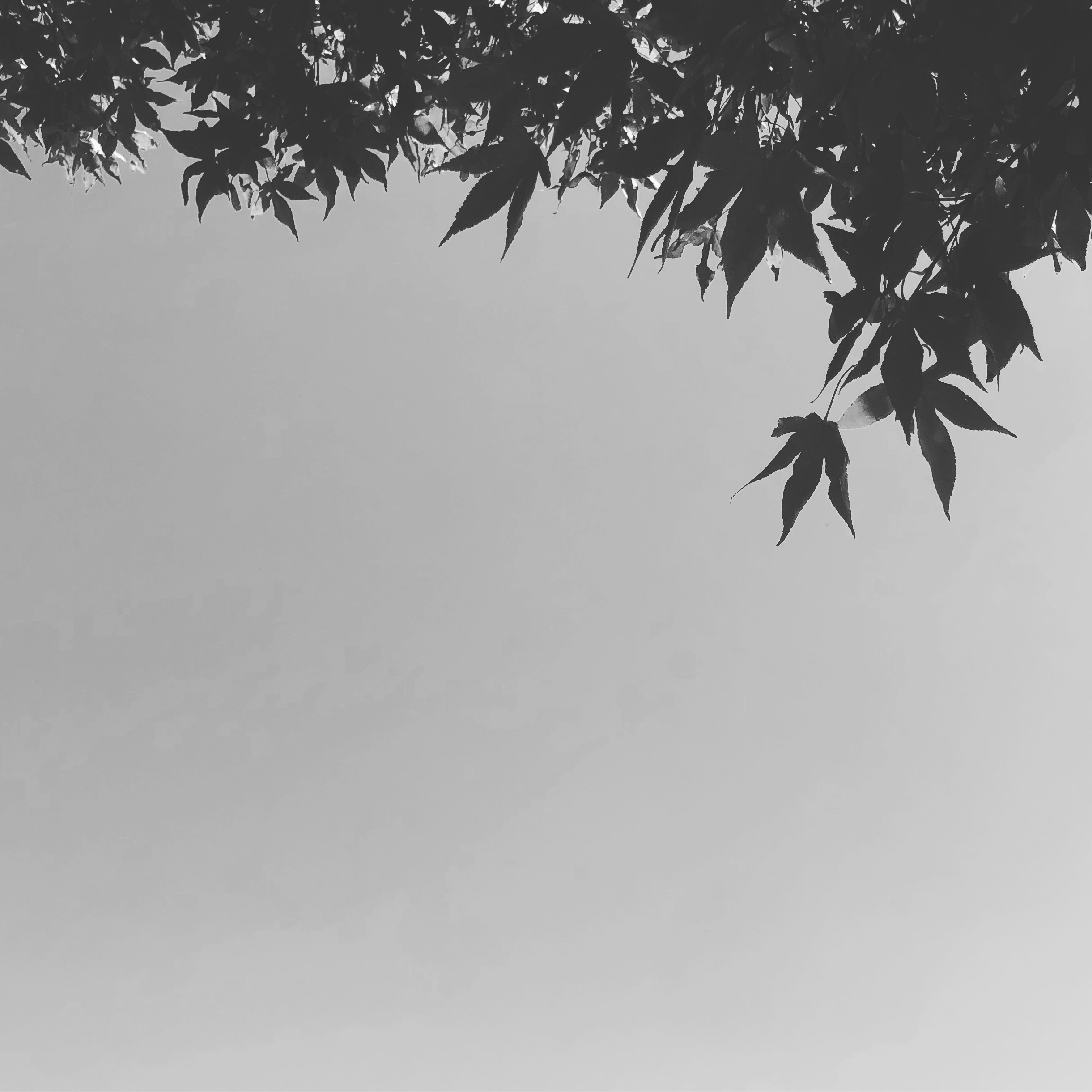 쿠샤