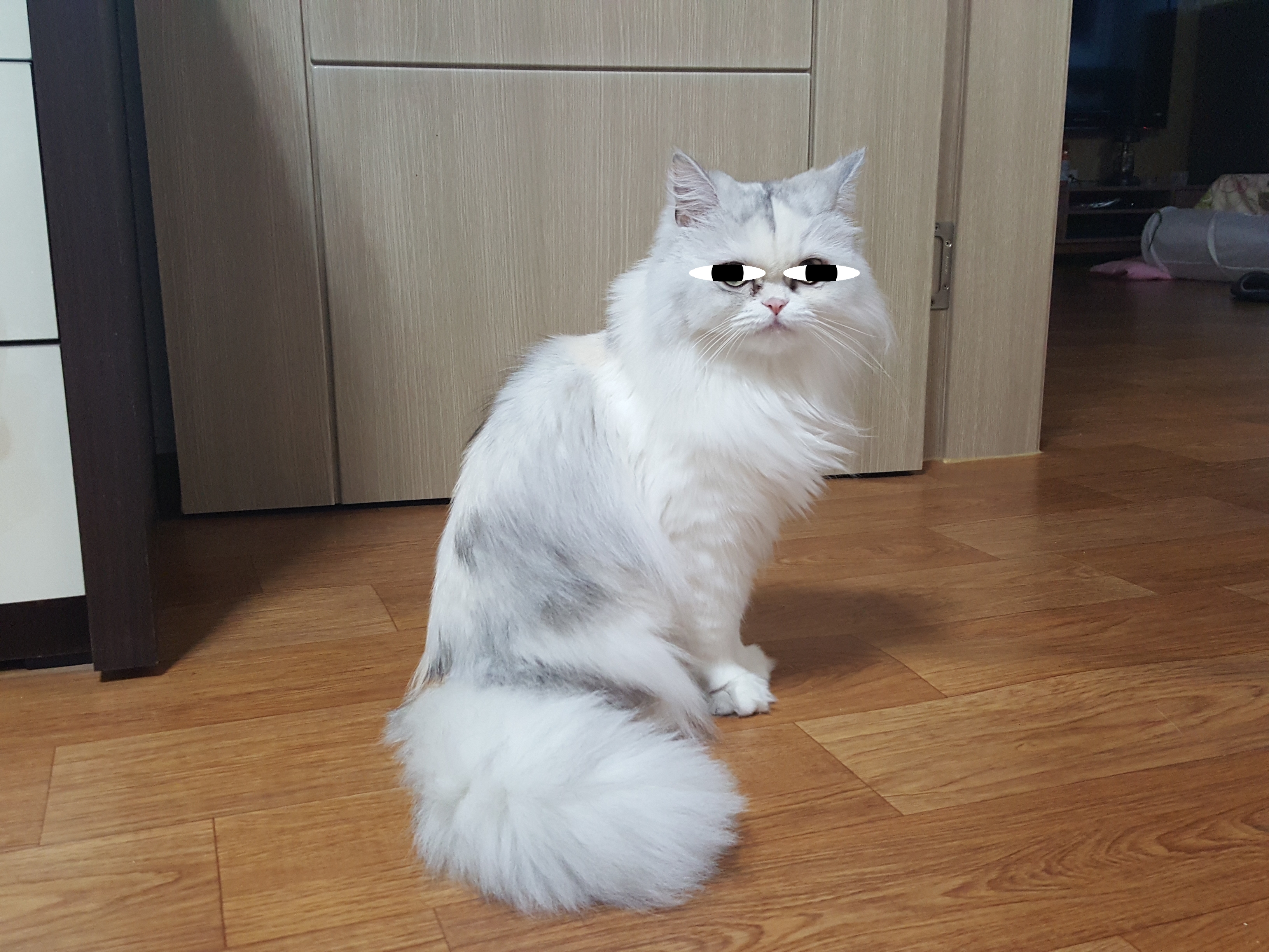 봉봉양