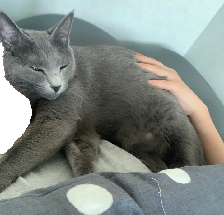 뀨정