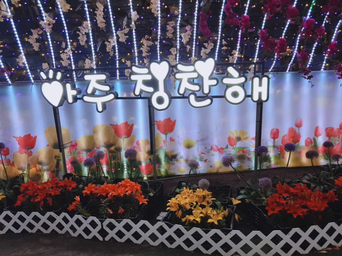 봉자