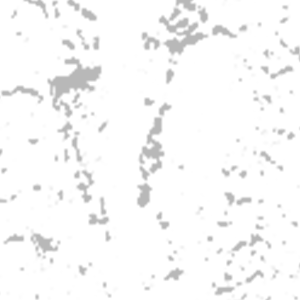 Central