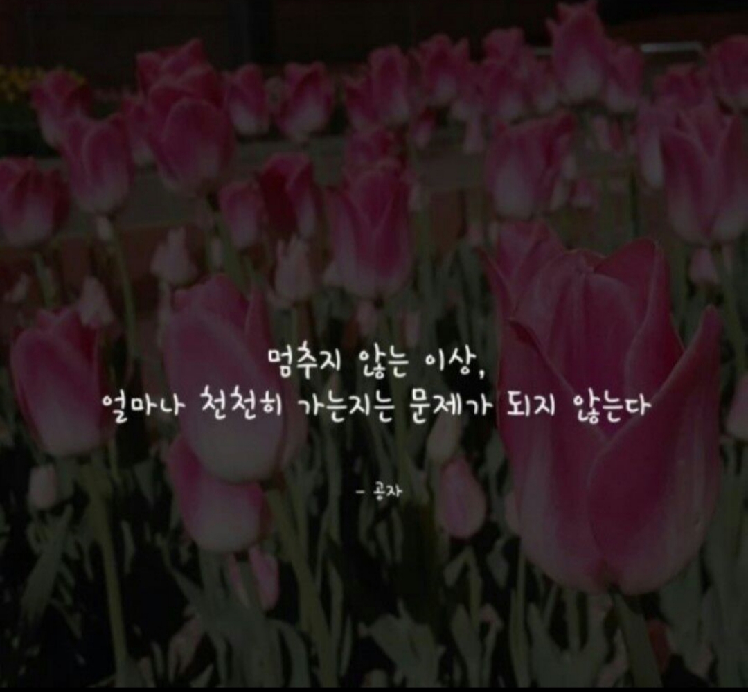 뿌니뿌니