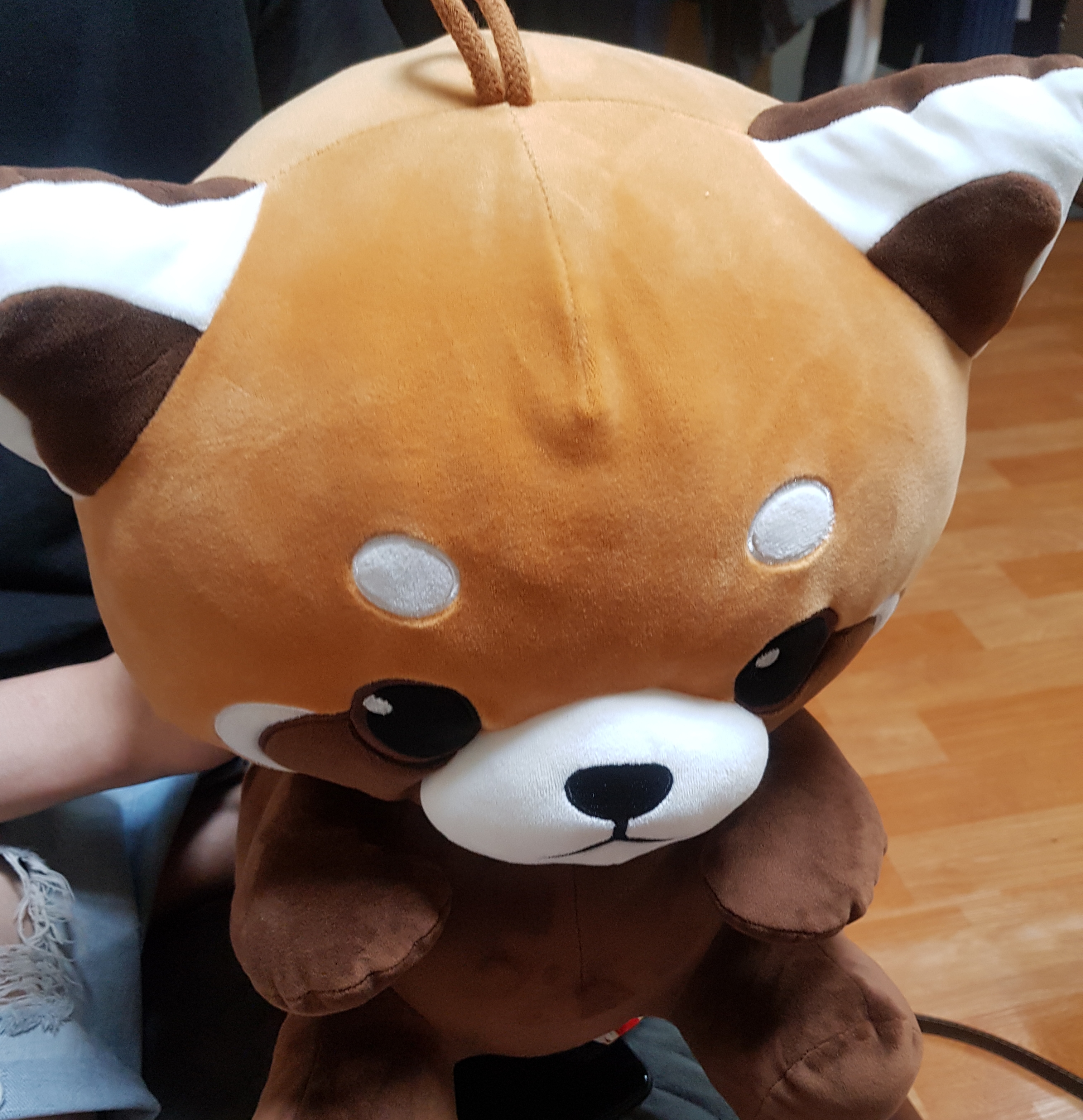 잉어