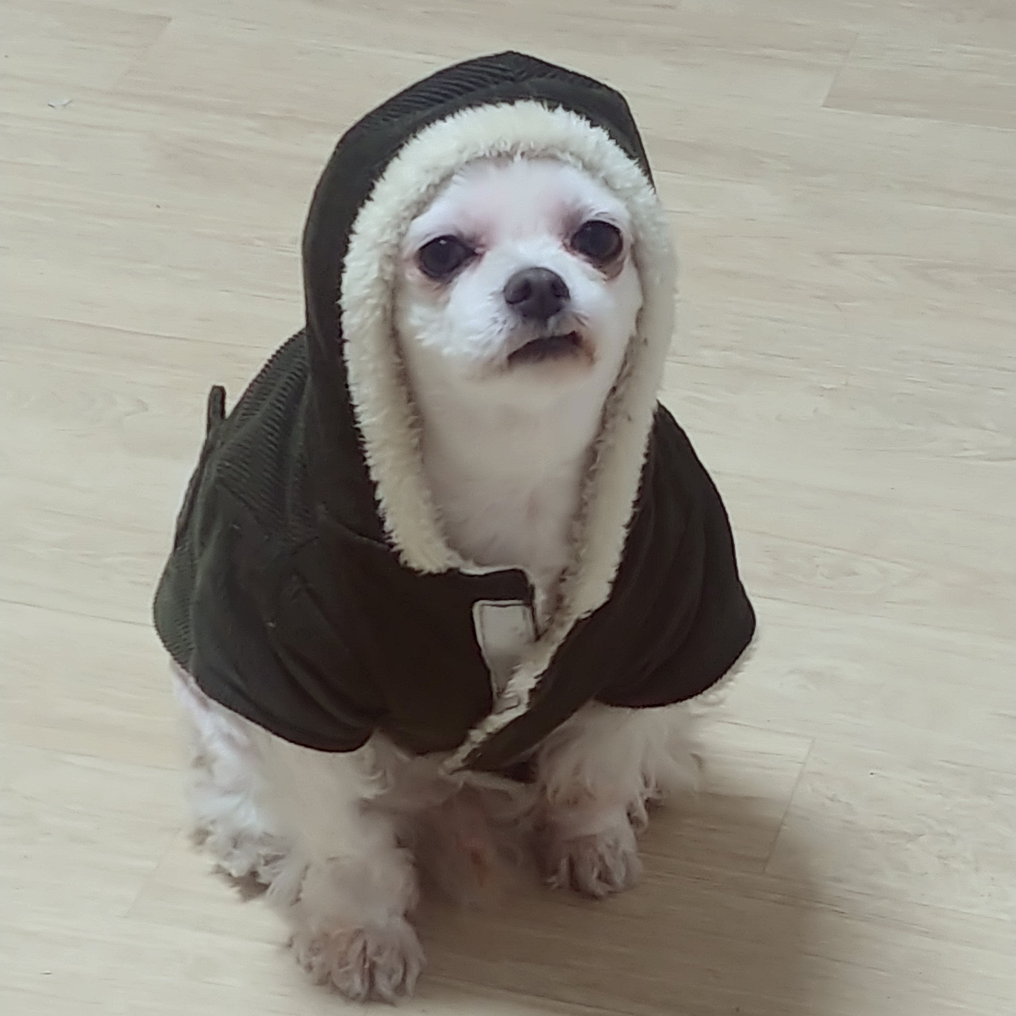 솧2