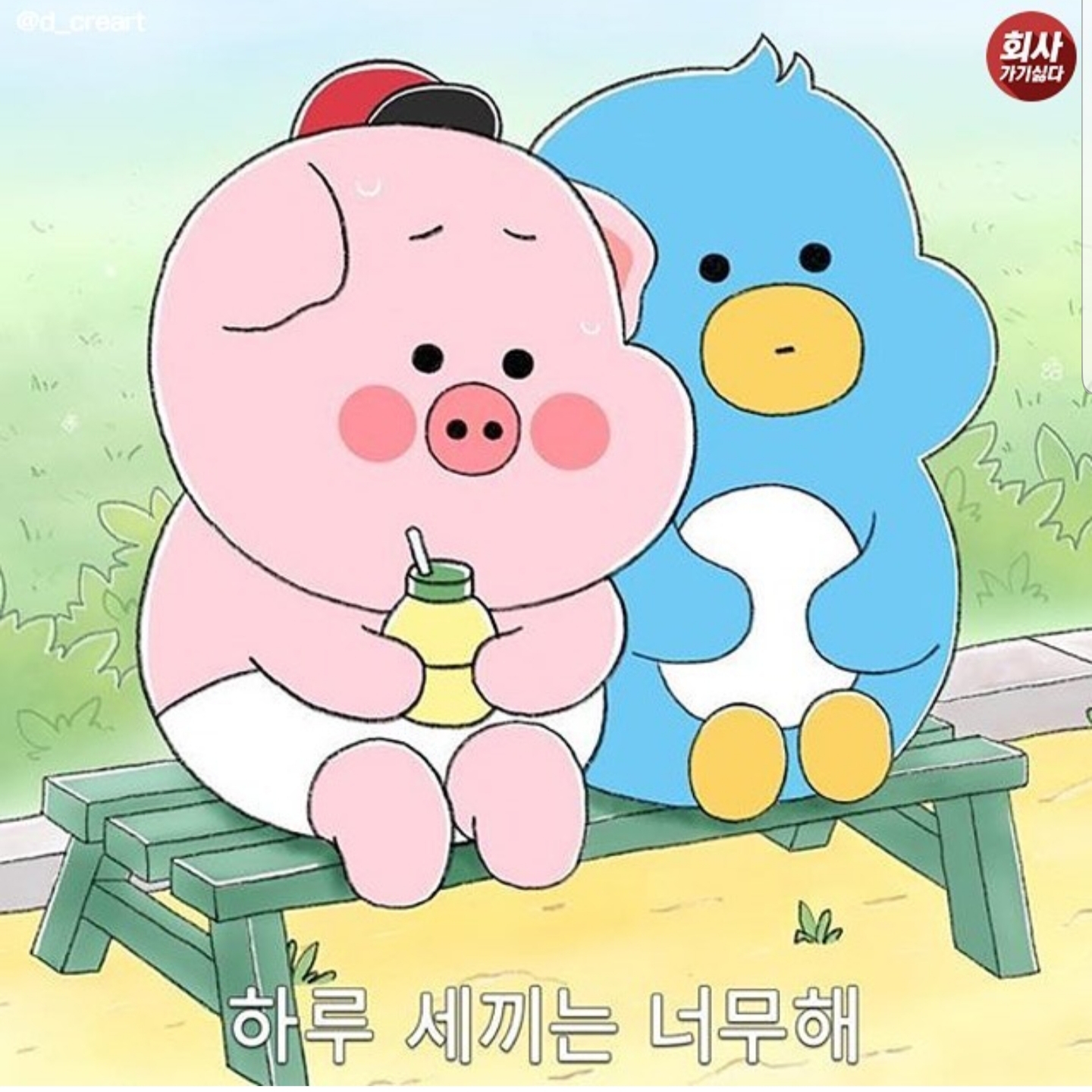 박신영
