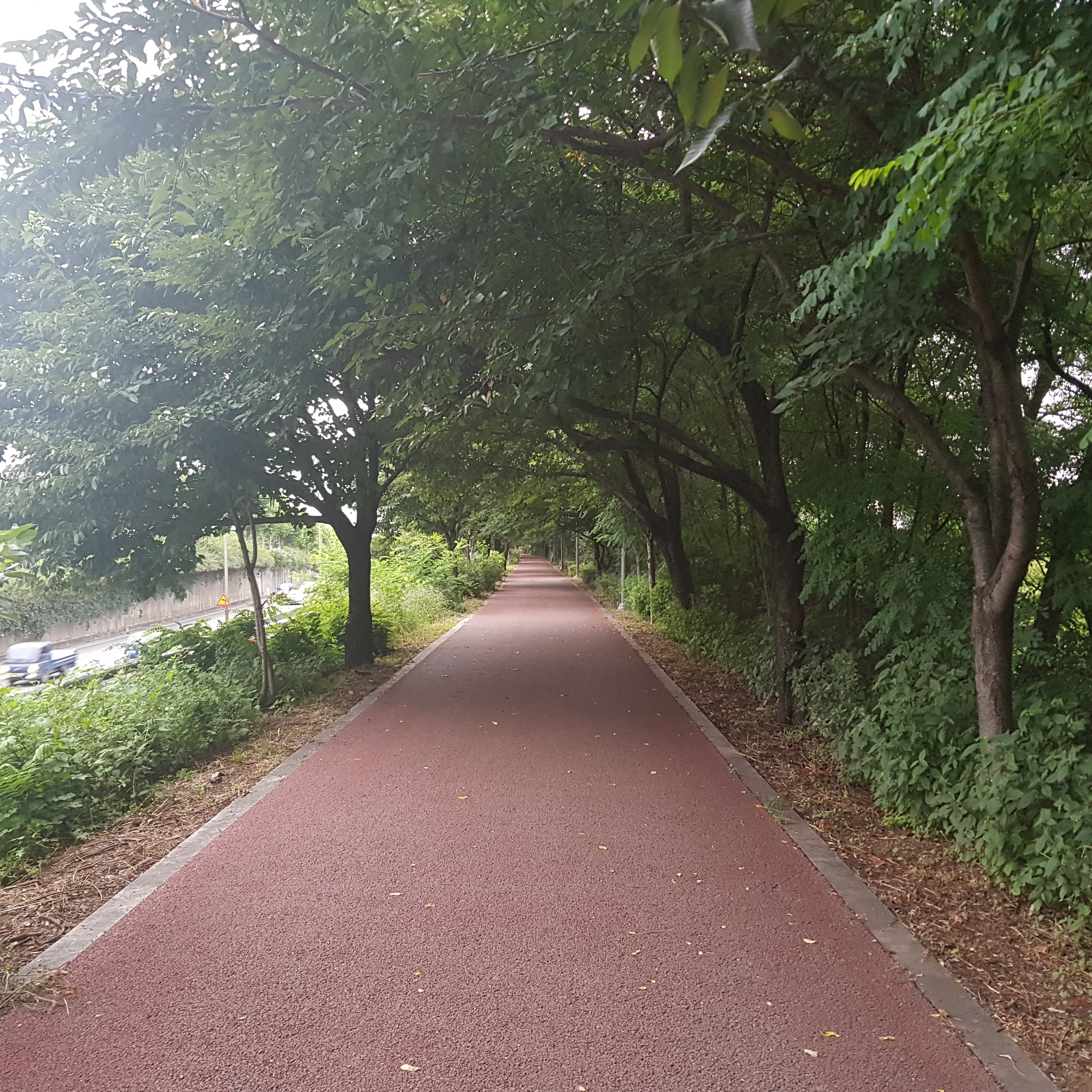 망고로