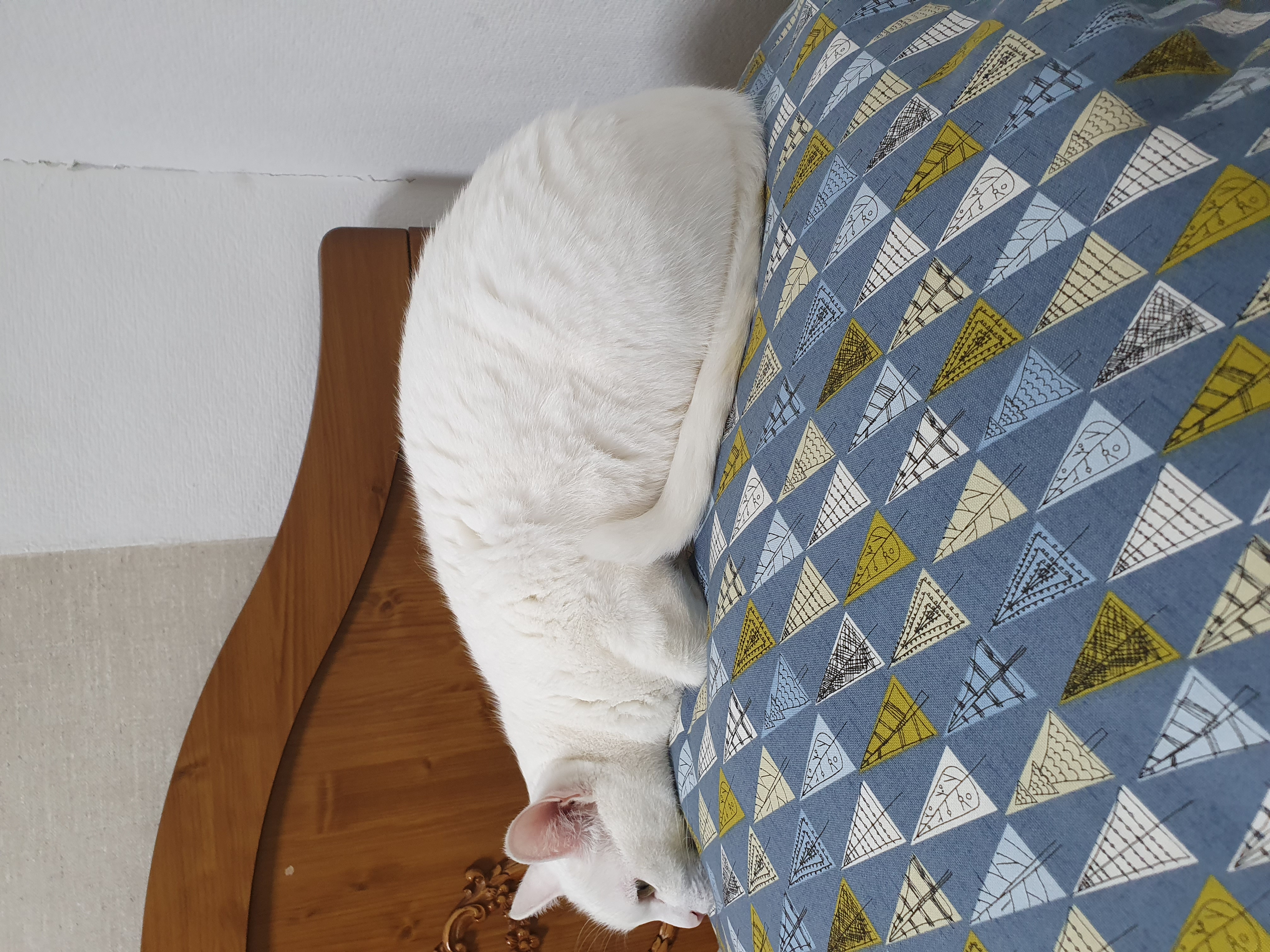 페카