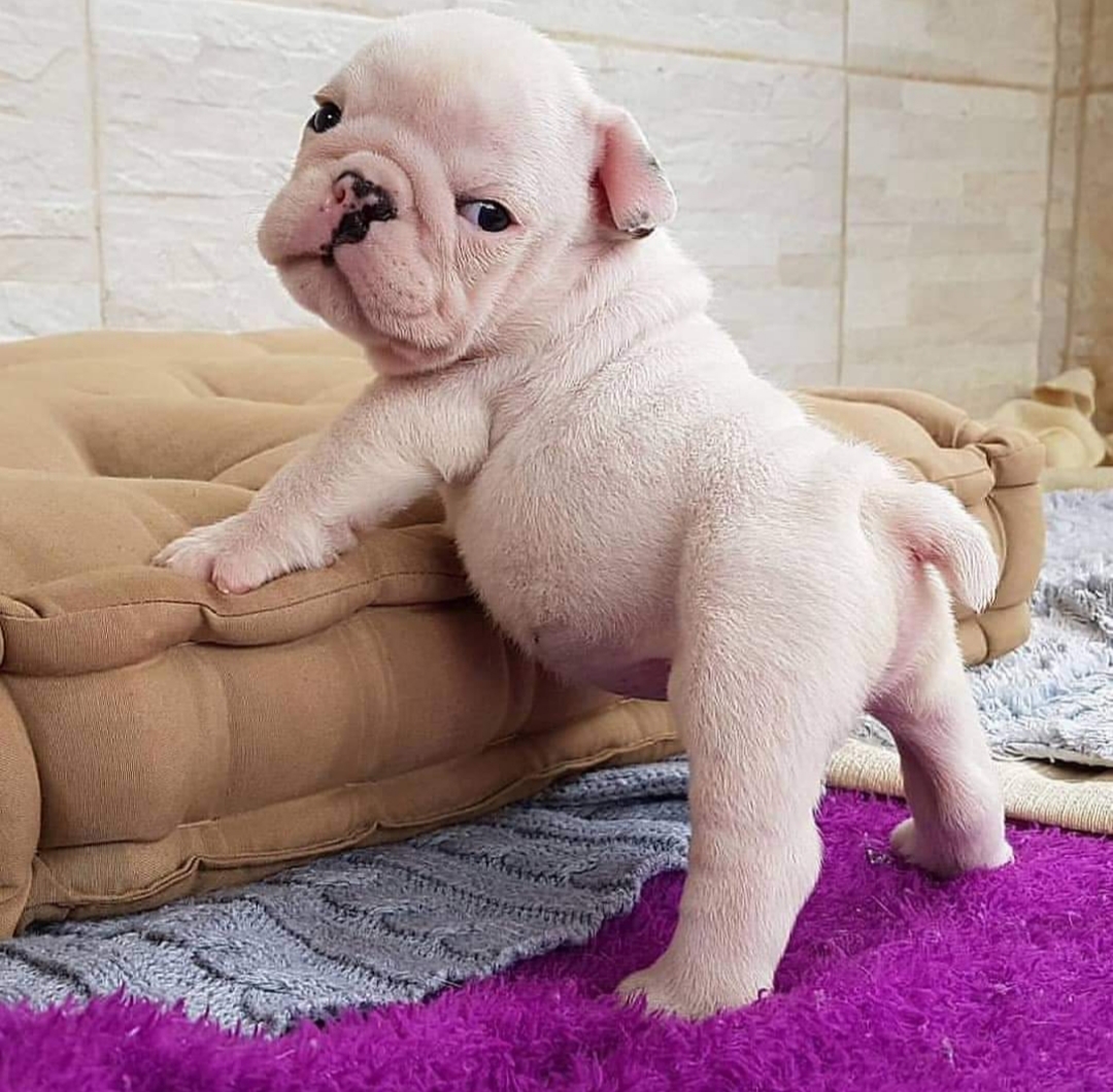 꼼지락