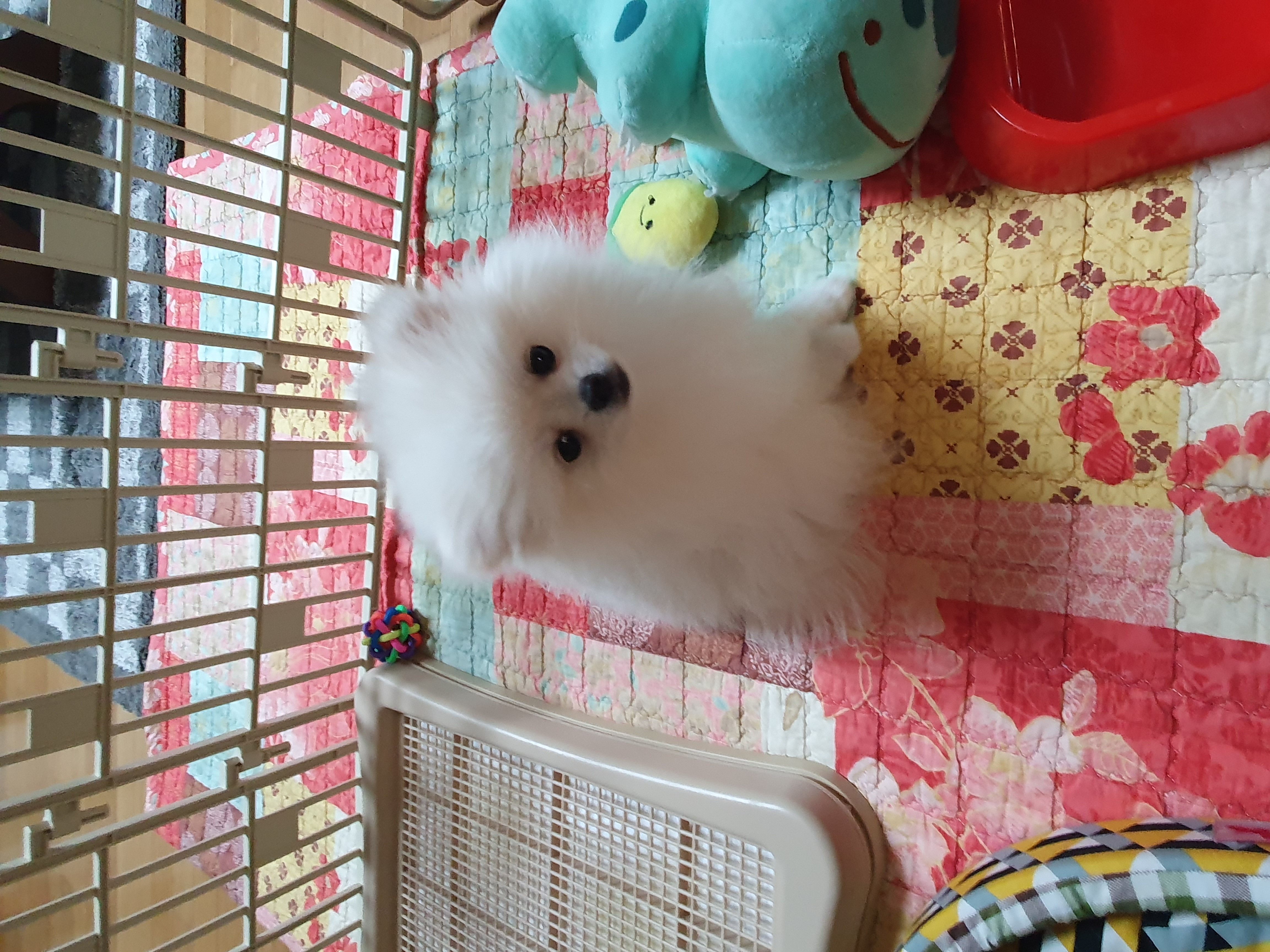 효효