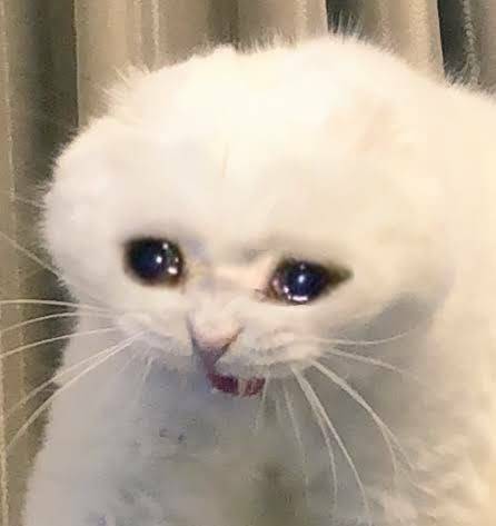 오묘한