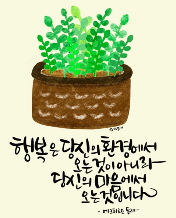 행복마미