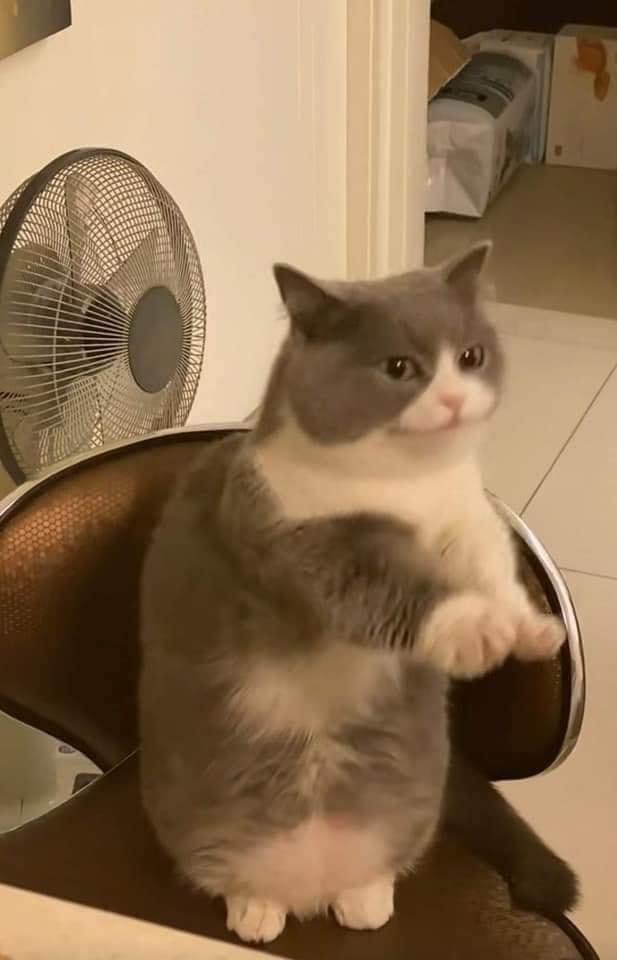 진솔