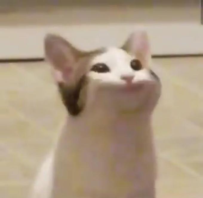 새발작이
