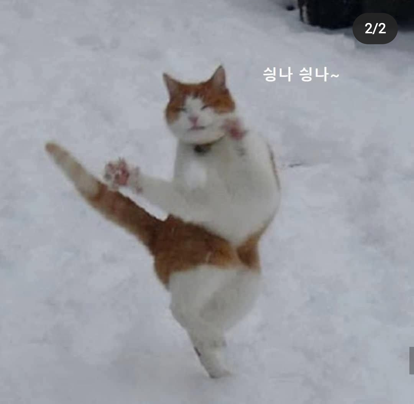 구락부