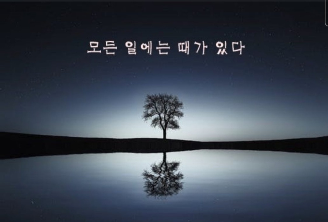 별빛하늘