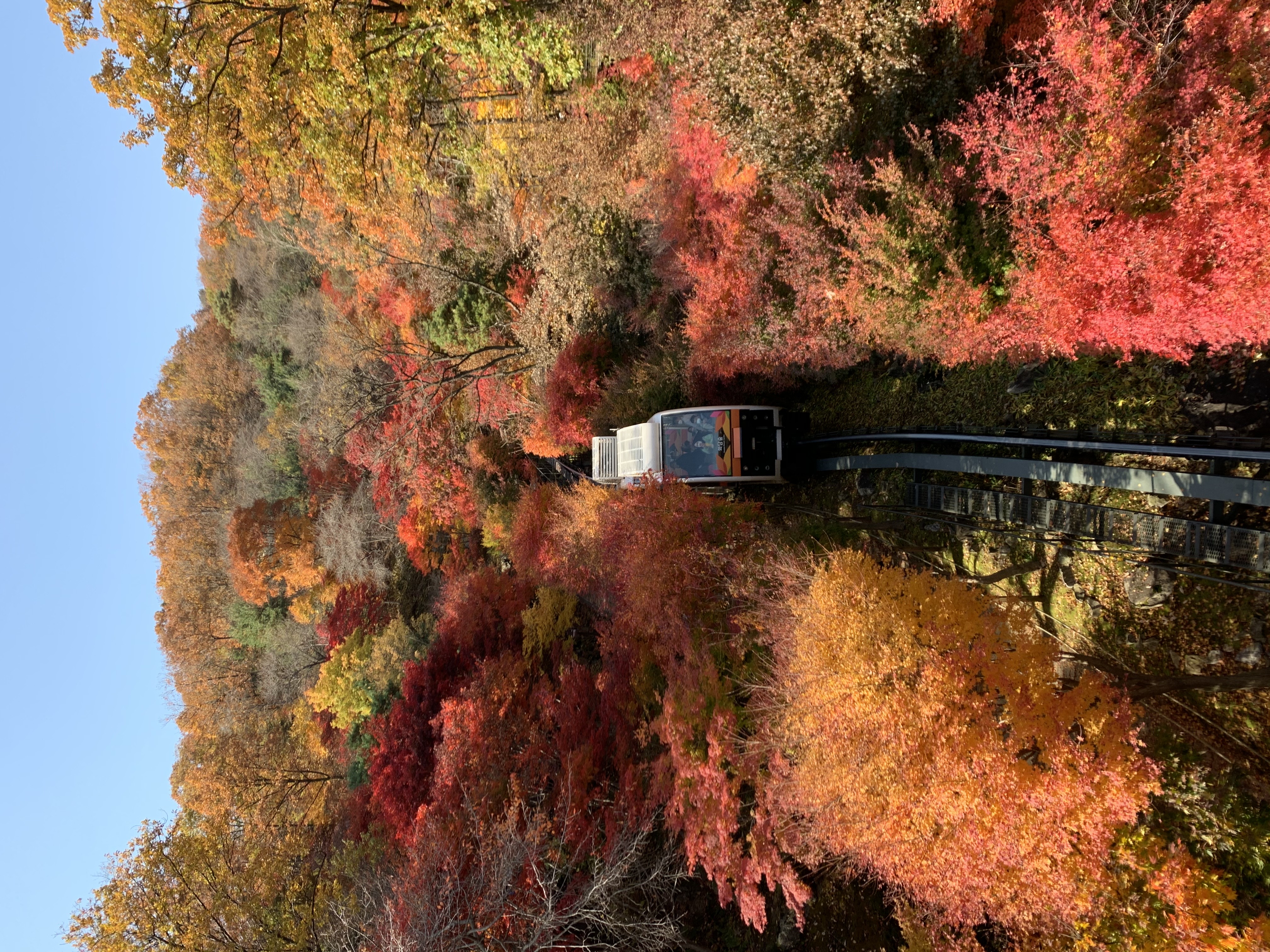 o멜o로o디o