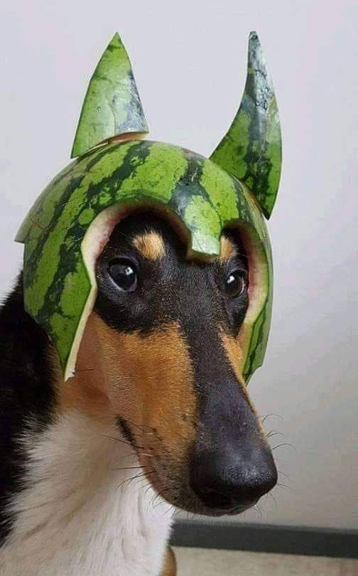 숫자일이삼