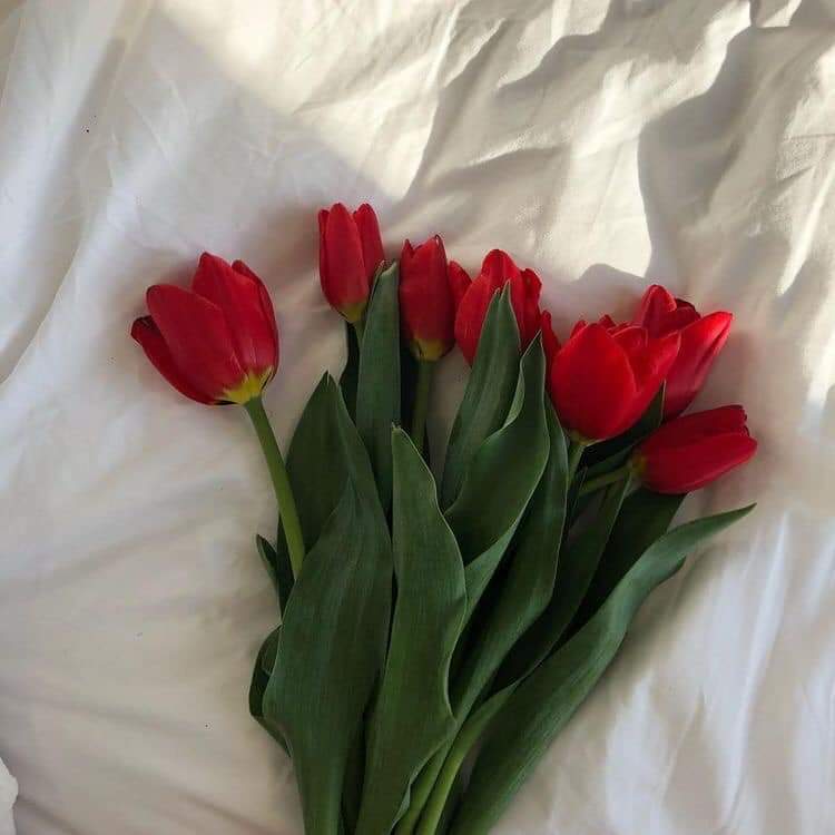 아닌데