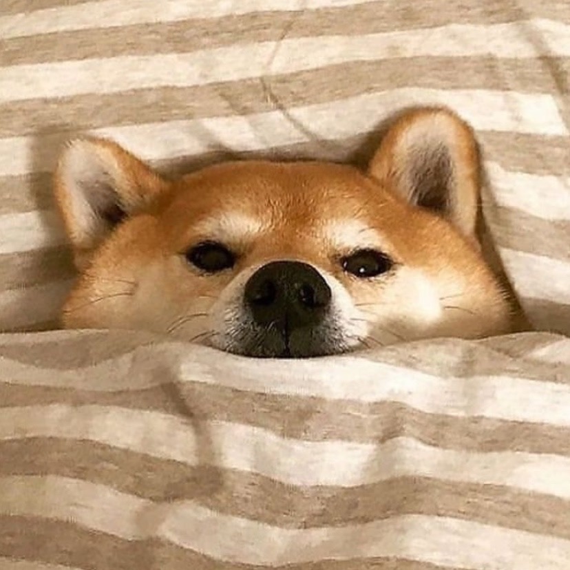이성현