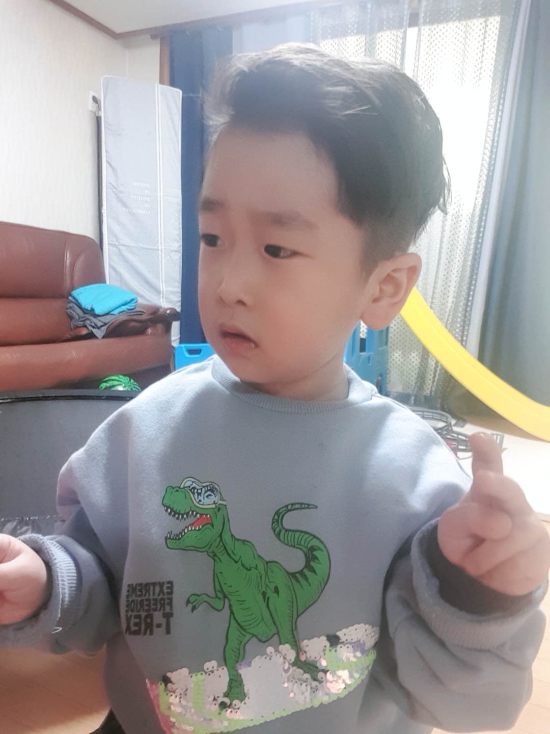 다솜이