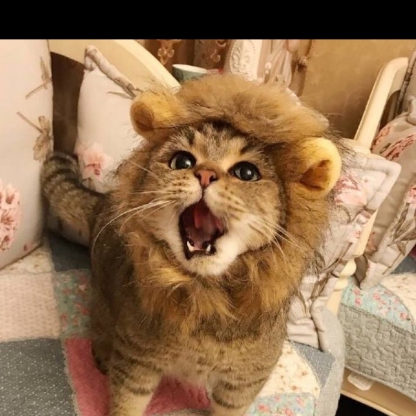 블리블링