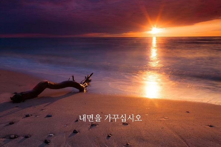대인배