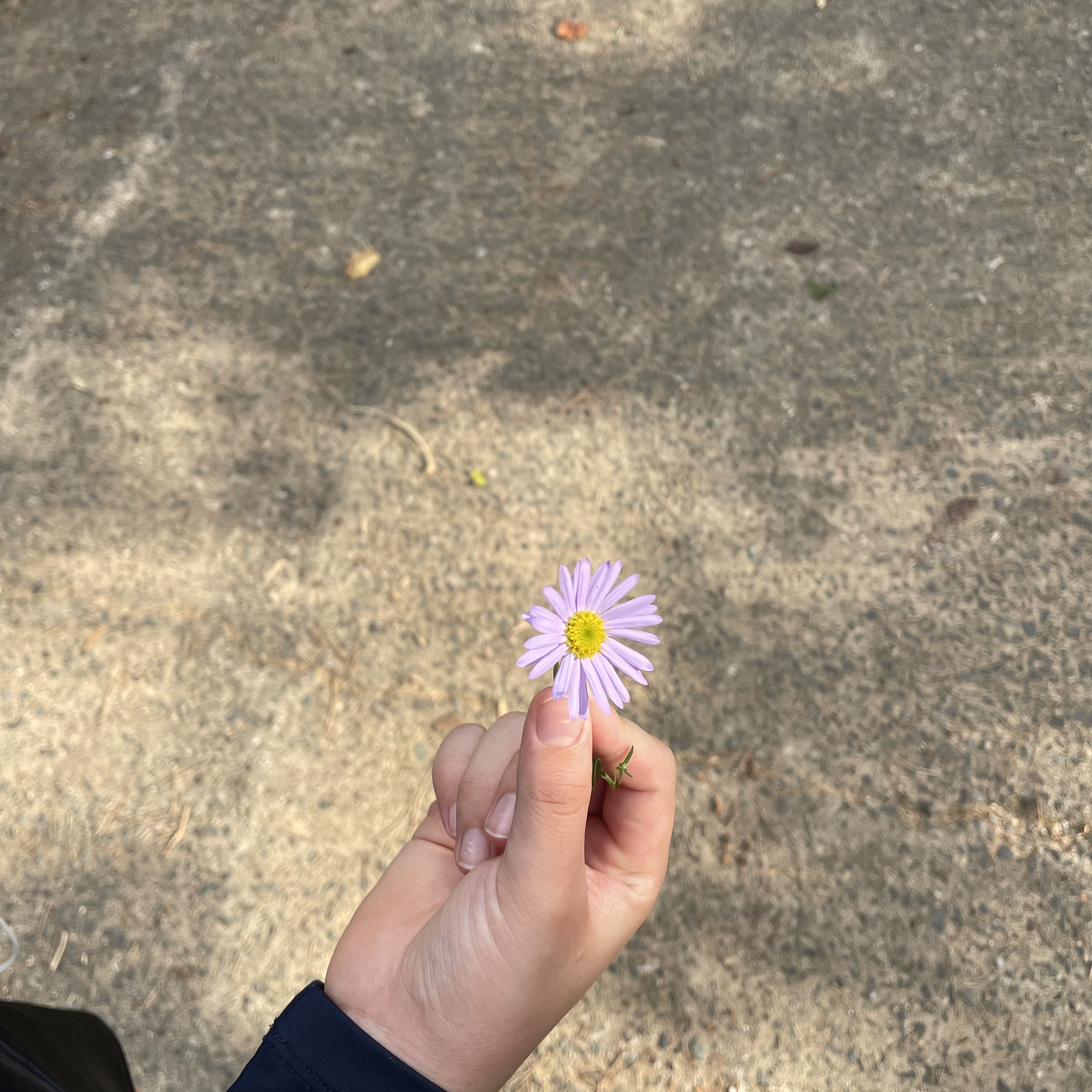 김근혜