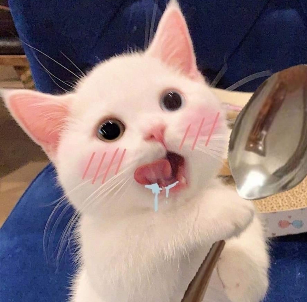 보리