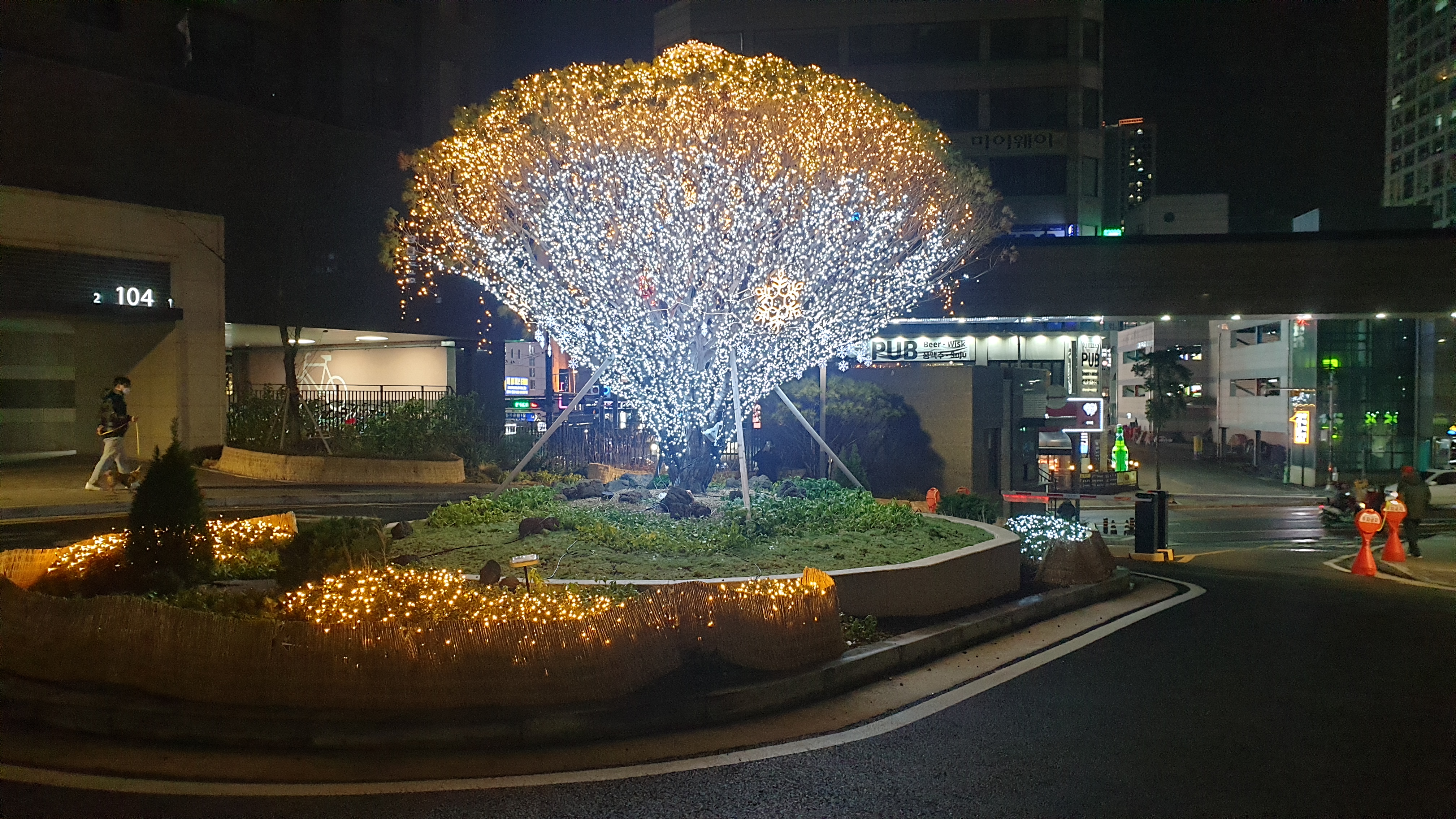 래곤
