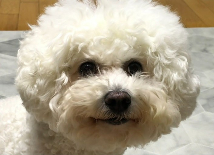 김석훈