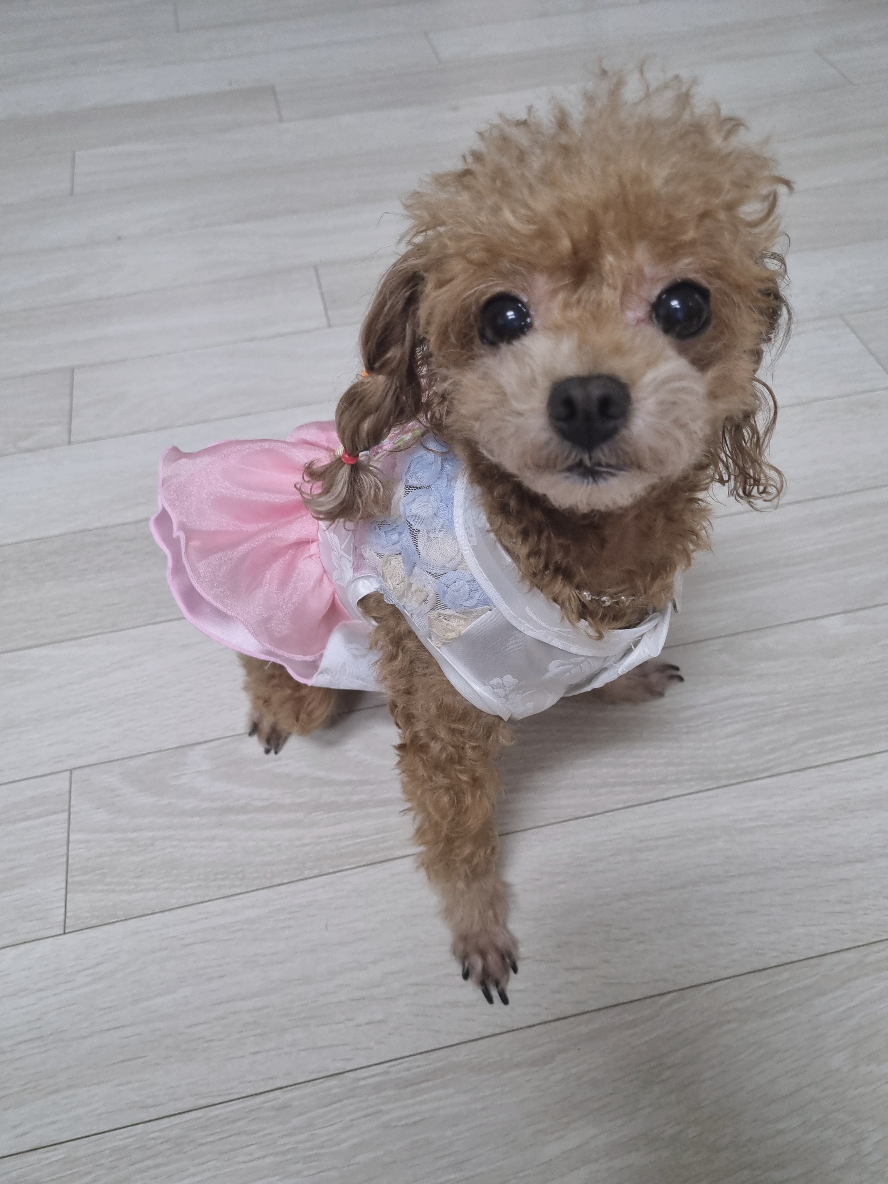 쭈하늘