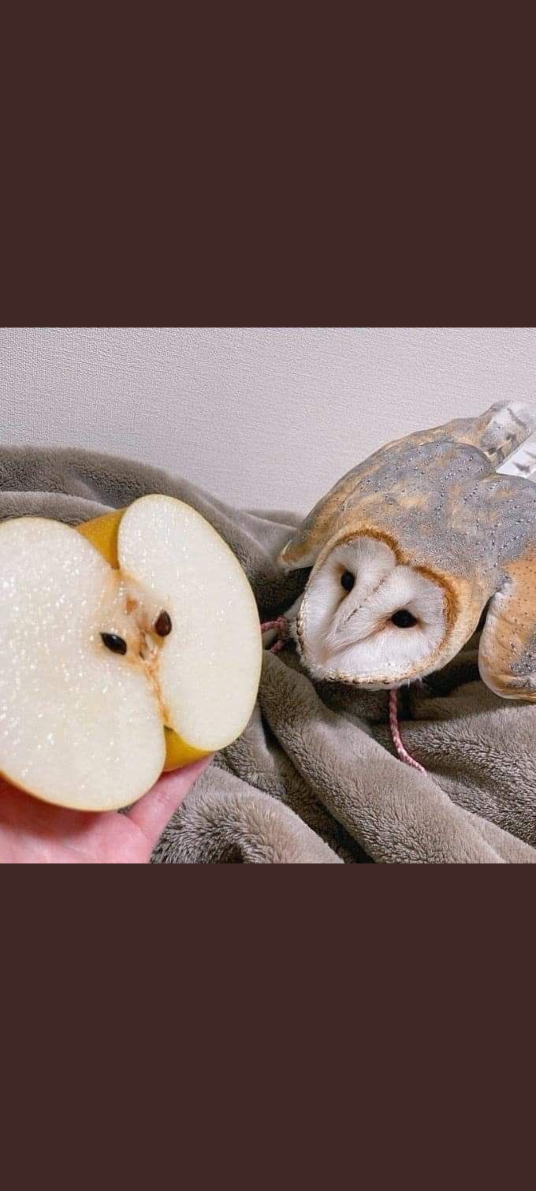 ㅣiㅣ
