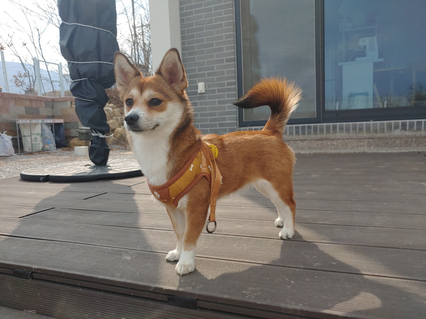 옥뽕댁