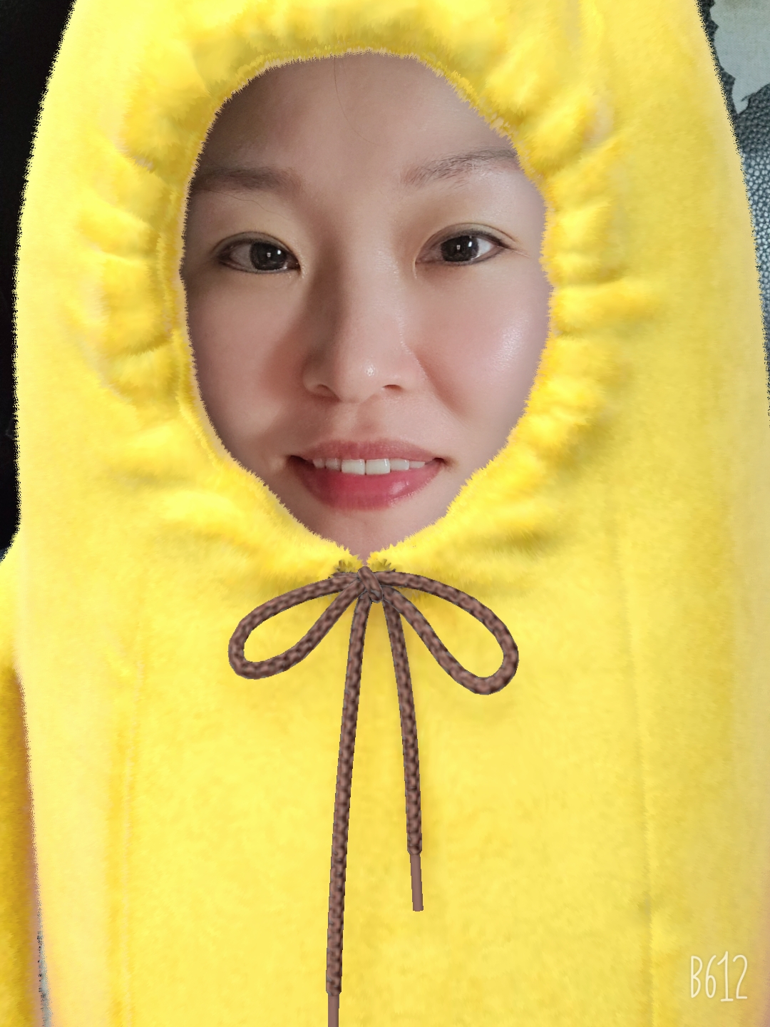 미니여니