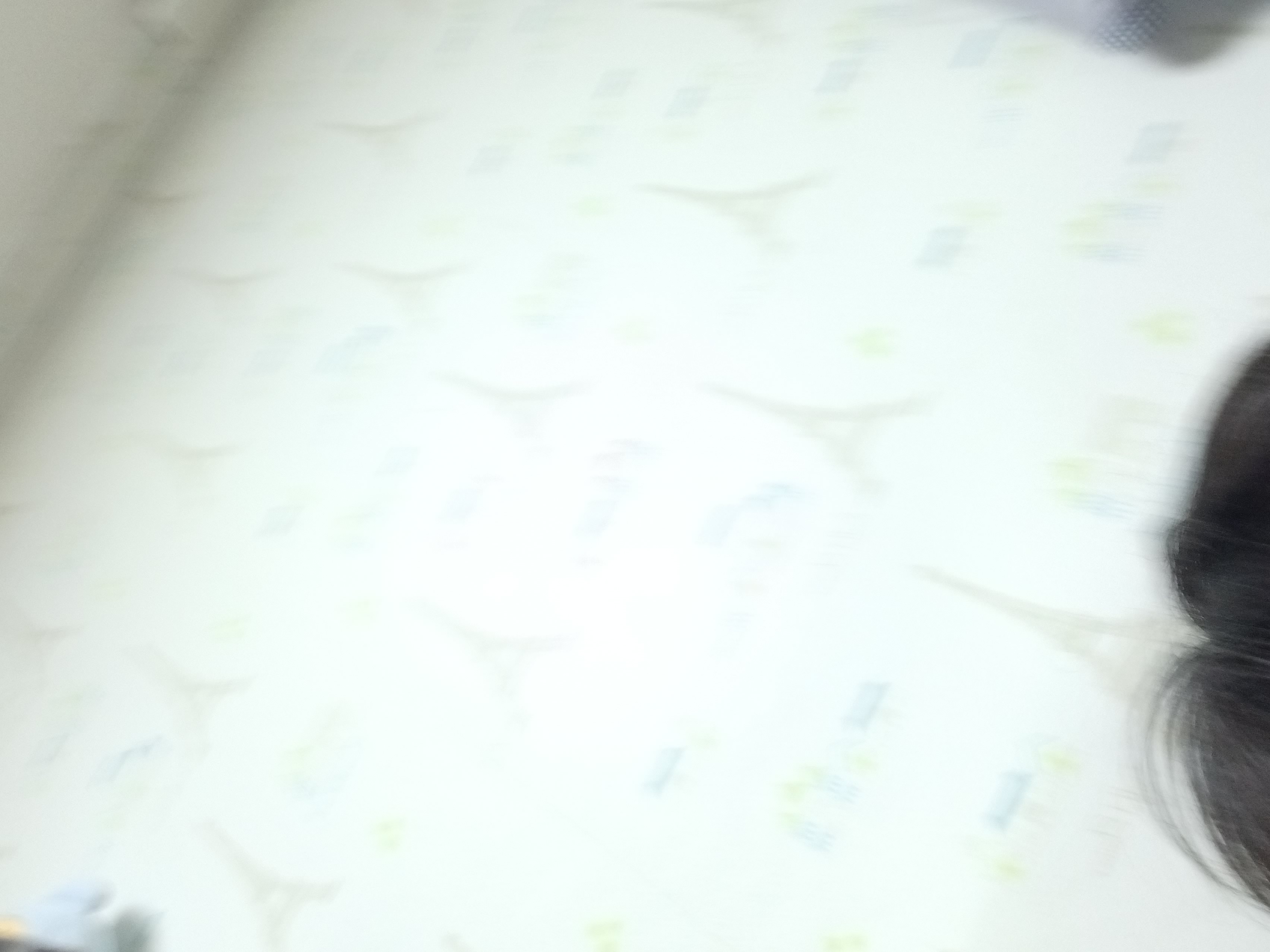 김레드