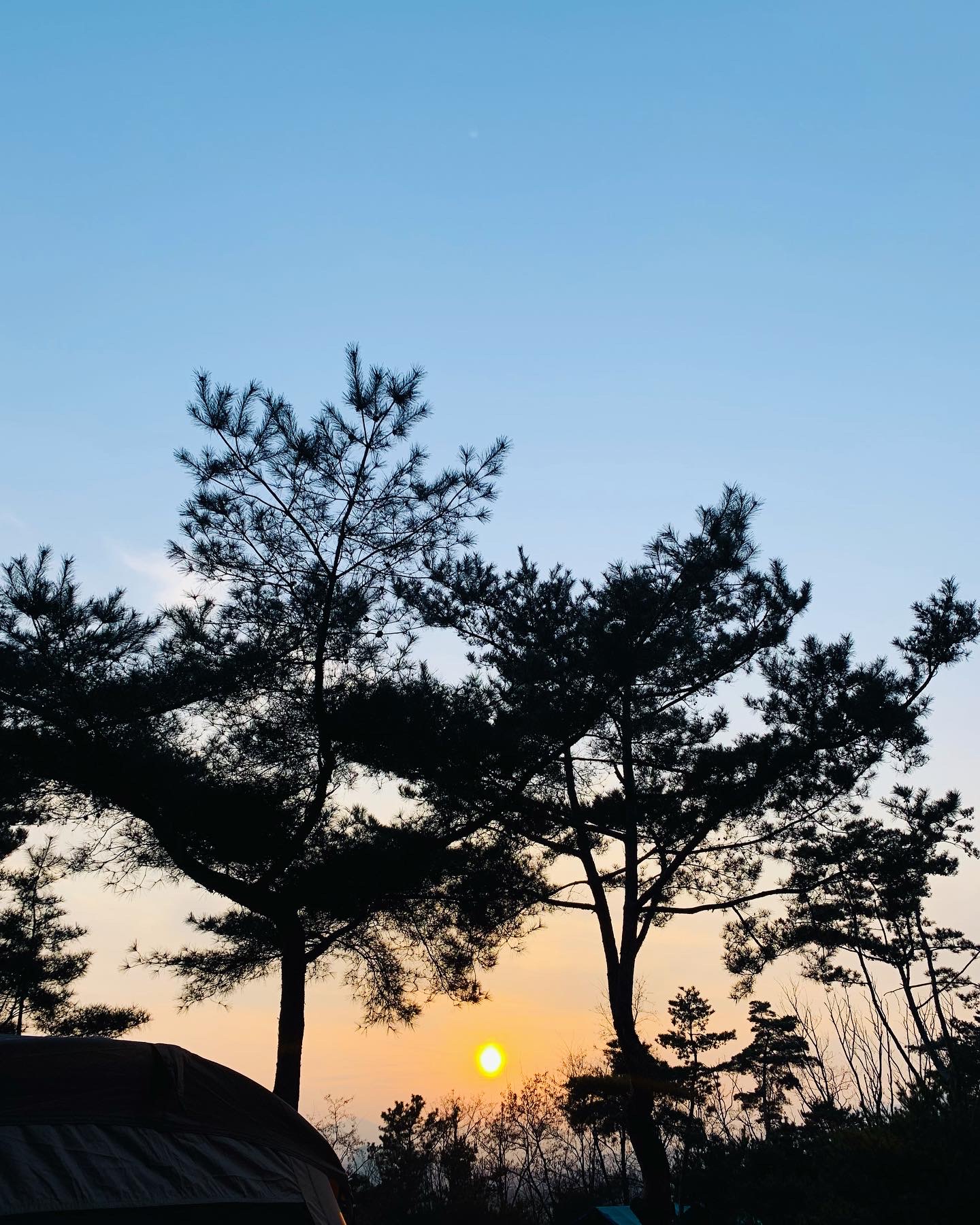 리리115