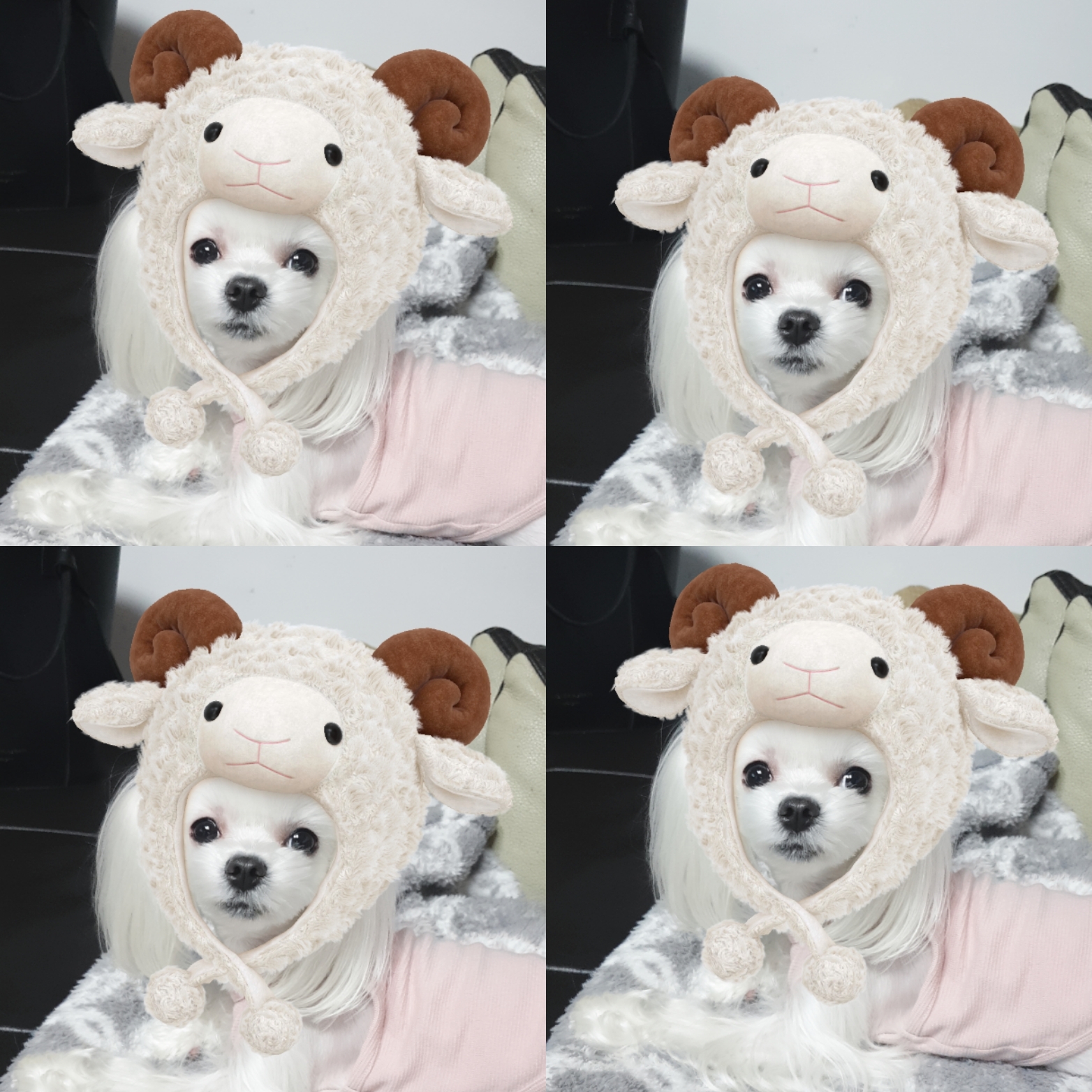 NANA2802