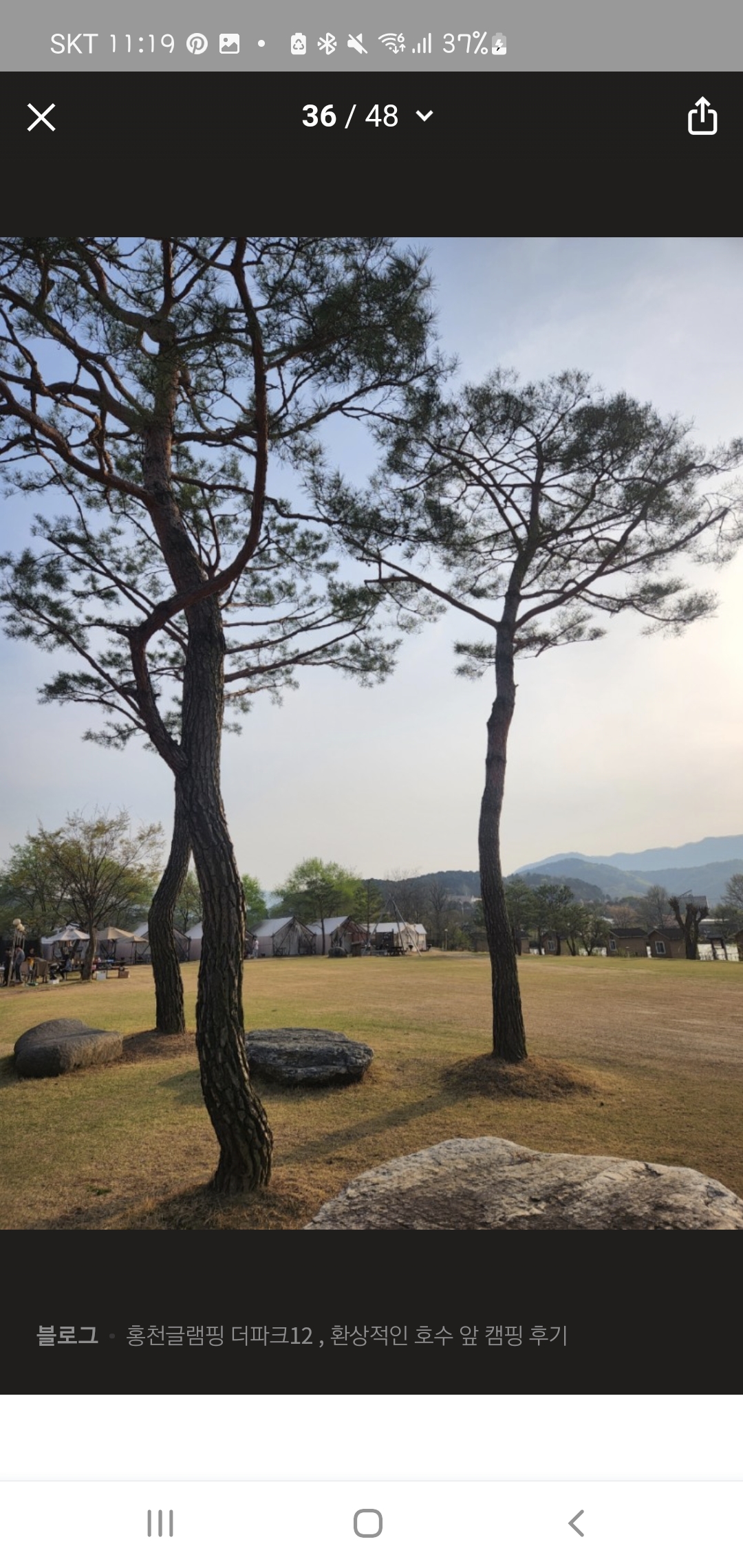 랑짱