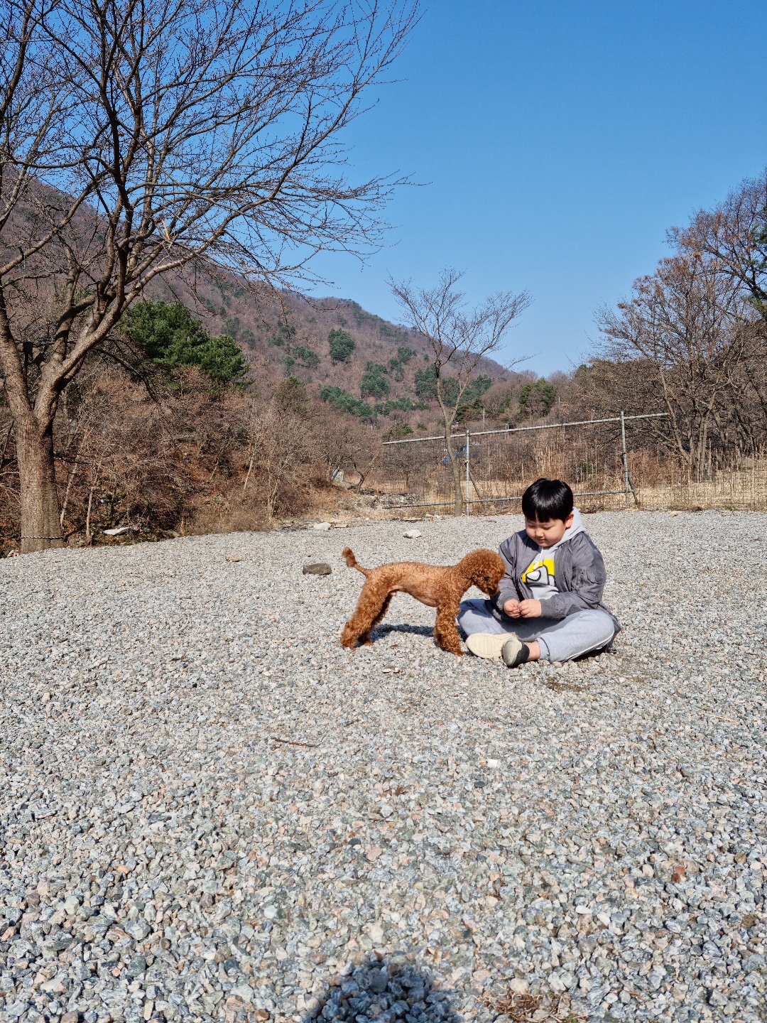 노수현