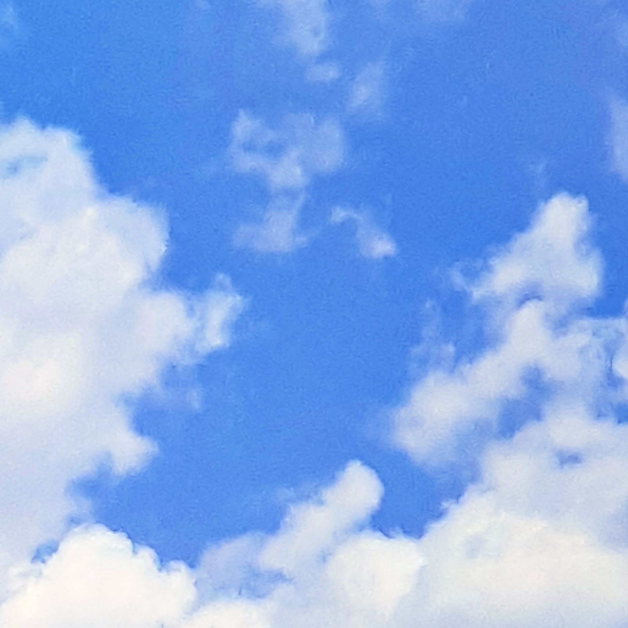 공인주