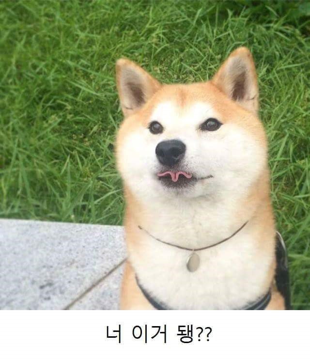 배성준