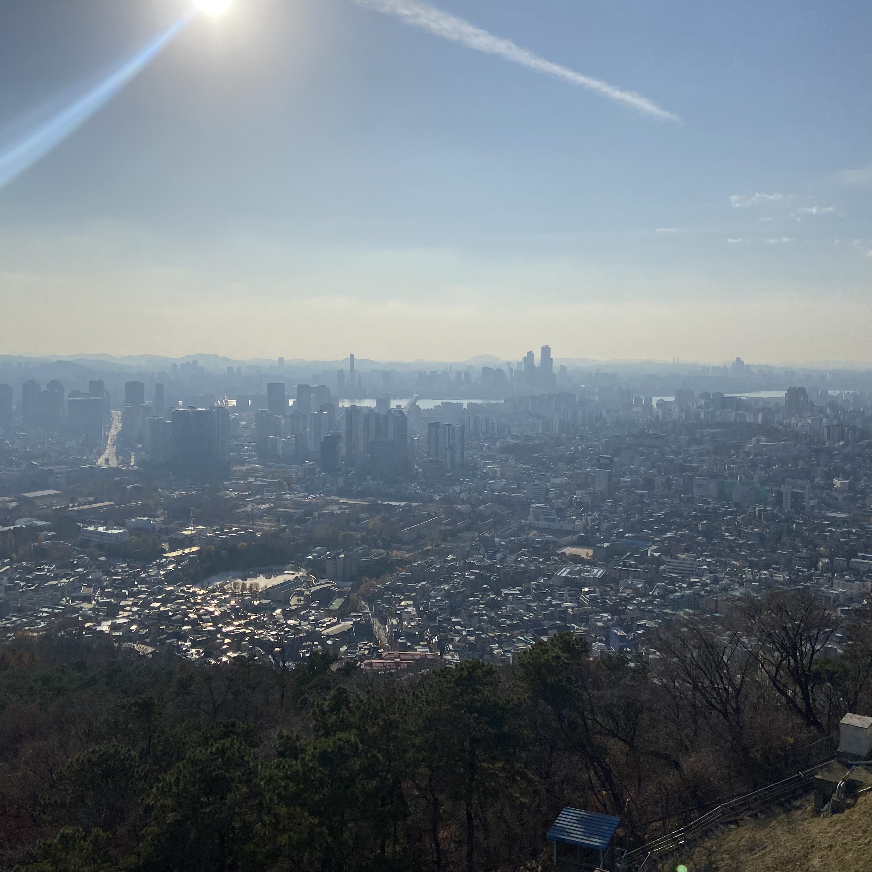 광어