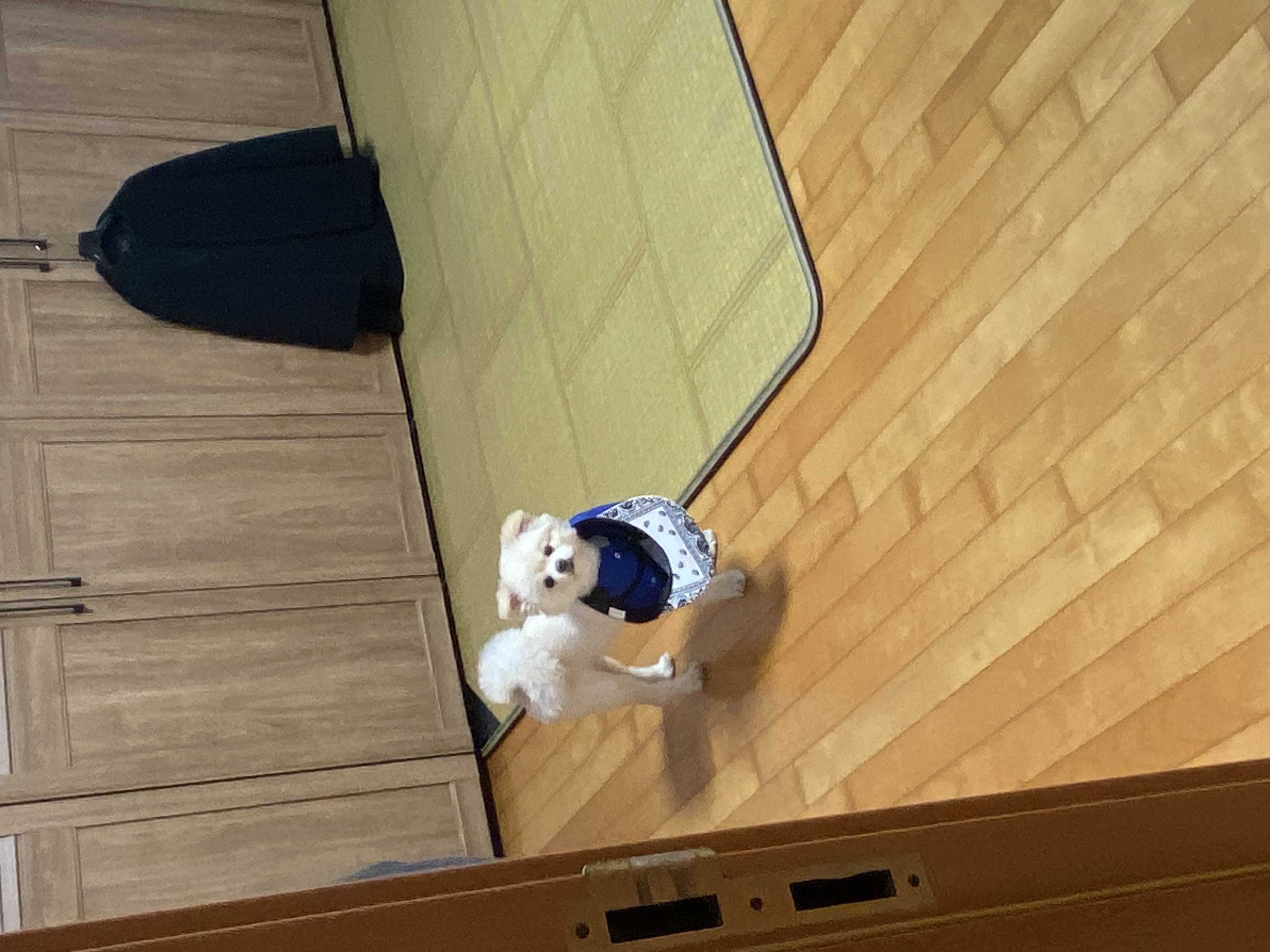 공규찬