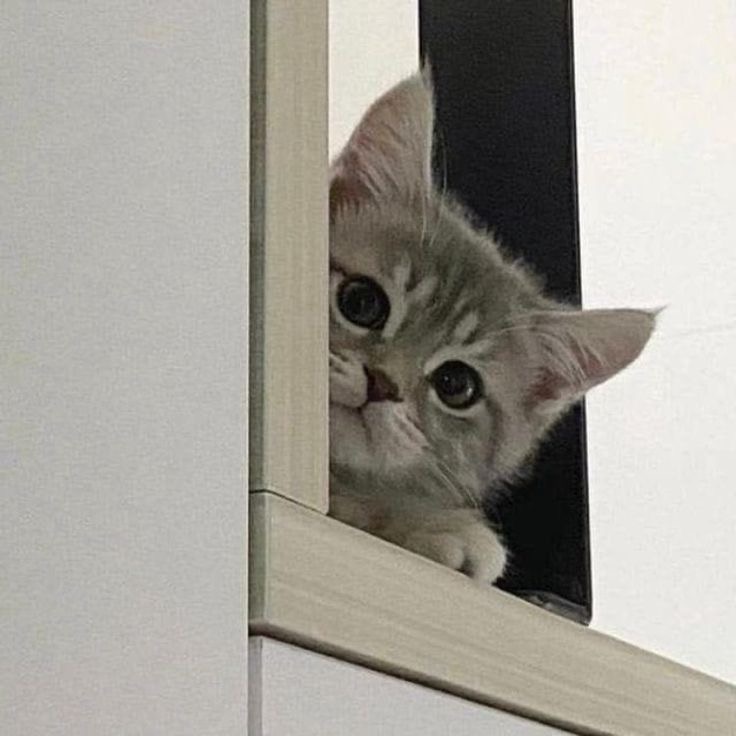 혜닝